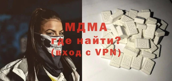 индика Дмитриев