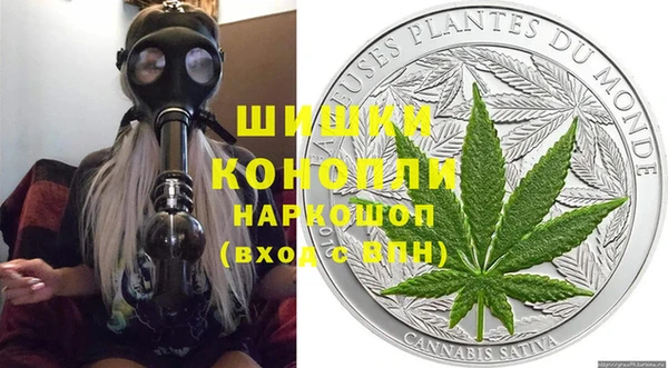 молекула духа Гусев