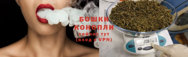 спайс Гусь-Хрустальный