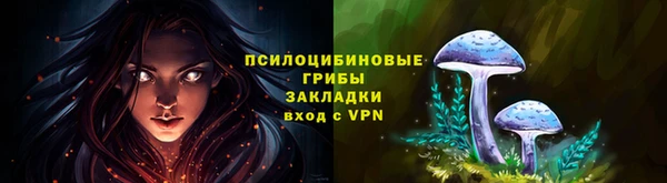 спайс Гусь-Хрустальный