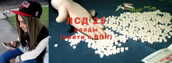спайс Гусь-Хрустальный