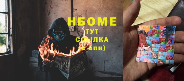 спайс Гусь-Хрустальный