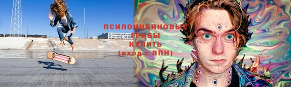 молекула духа Гусев