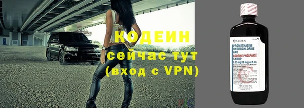 молекула духа Гусев