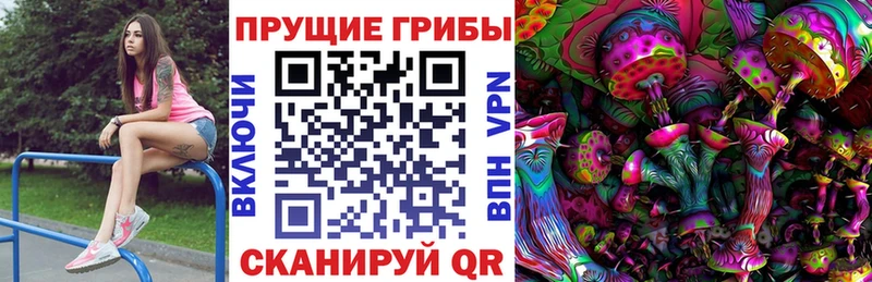 Галлюциногенные грибы Psilocybe  Купить где  Новая Ладога 
